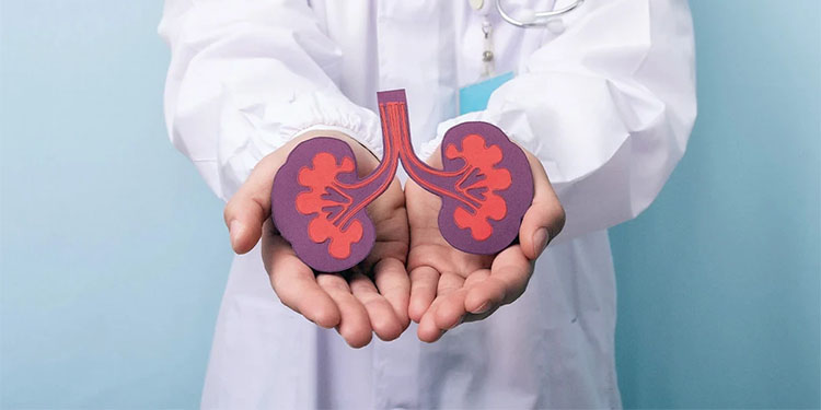 哪些情況下可能造成腎臟負擔？